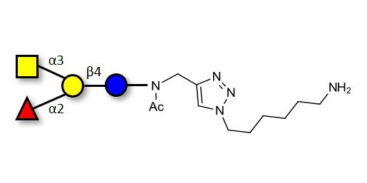 Blood group A antigen tetraose type 6 with free terminal amine (Linker-NH2 D)