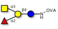 Blood group A antigen tetraose type 6 grafted on OVA