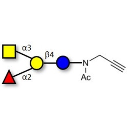 Blood group A antigen tetraose type 6 with terminal alkyne (Linker-CΞCH A)