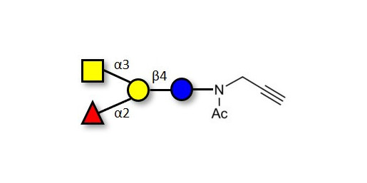 Blood group A antigen tetraose type 6 with terminal alkyne (Linker-CΞCH A) - GLY035-3-NPR