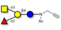 Blood group A antigen tetraose type 6 with terminal alkyne (Linker-CΞCH A) - GLY035-3-NPR
