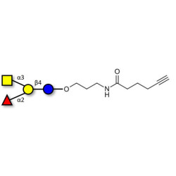 Blood group A antigen tetraose type 6 with terminal alkyne (Linker-CΞCH C)
