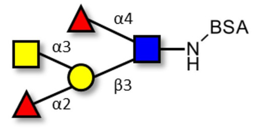 Blood group A Lewis b antigen pentaose type 1 grafted on BSA