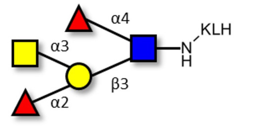 Blood group A Lewis b antigen pentaose type 1 grafted on KLH