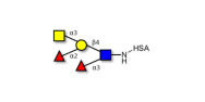Blood group A Lewis y...
