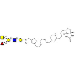 Blood group A antigen pentaose type 1 linked to biotin (Linker-BT A)