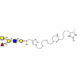 Blood group A antigen pentaose type 1 linked to desthiobiotin (Linker-DBT-A)