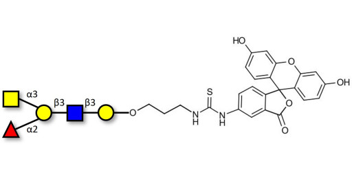 Blood group A antigen pentaose type 1 linked to fluorescein (Linker-FLUO A)