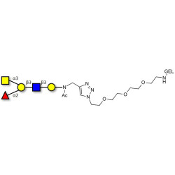 Blood group A antigen pentaose type 1 grafted on gel for affinity chromatography (Linker-GEL A)