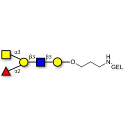 Blood group A antigen pentaose type 1 grafted on gel for affinity chromatography (Linker-GEL B)