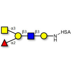 Blood group A antigen pentaose type 1 grafted on HSA