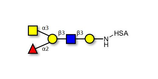 Blood group A antigen pentaose type 1 grafted on HSA