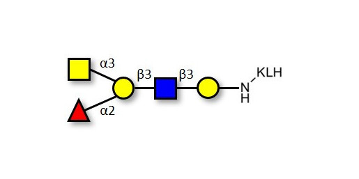 Blood group A antigen pentaose type 1 grafted on KLH
