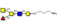 Blood group A antigen...