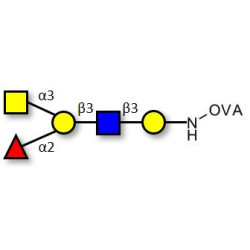 Blood group A antigen pentaose type 1 grafted on OVA