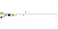 Blood group A antigen...
