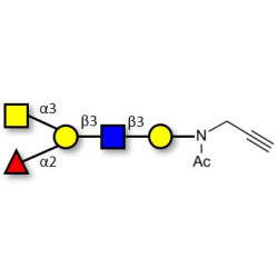 Blood group A antigen pentaose type 1 with terminal alkyne (Linker-CΞCH A)