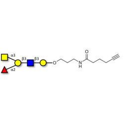 Blood group A antigen pentaose type 1 with terminal alkyne (Linker-CΞCH C)