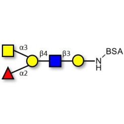 Blood group A antigen pentaose type 2 grafted on BSA