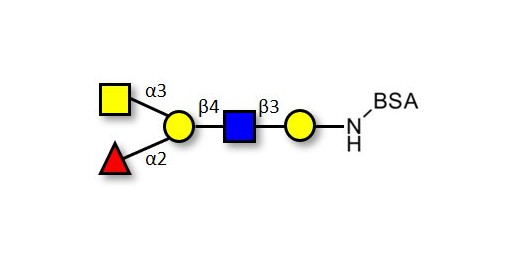 Blood group A antigen pentaose type 2 grafted on BSA