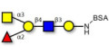 Blood group A antigen pentaose type 2 grafted on BSA