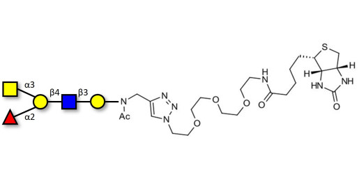 Blood group A antigen pentaose type 2 linked to biotin (Linker-BT A)