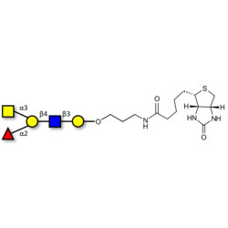 Blood group A antigen pentaose type 2 linked to biotin (Linker-BT B)