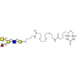 Blood group A antigen pentaose type 2 linked to biotin (Linker-BT C)