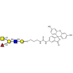 Blood group A antigen pentaose type 2 linked to fluorescein (Linker-FLUO A)
