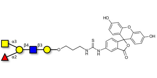 Blood group A antigen pentaose type 2 linked to fluorescein (Linker-FLUO A)