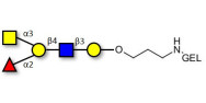 Blood group A antigen...