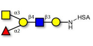 Blood group A antigen...
