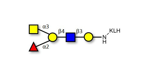 Blood group A antigen pentaose type 2 grafted on KLH