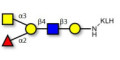 Blood group A antigen pentaose type 2 grafted on KLH