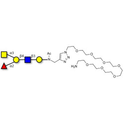 Blood group A antigen pentaose type 2 with free terminal amine (Linker-NH2 C)