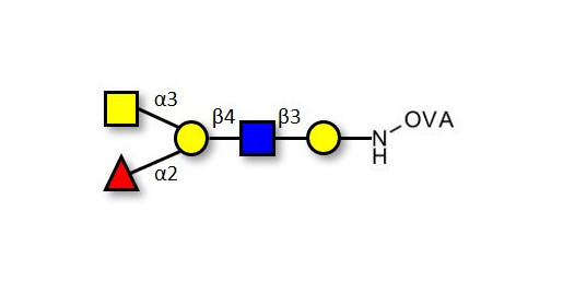 Blood group A antigen pentaose type 2 grafted on OVA
