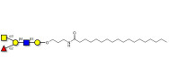 Blood group A antigen...