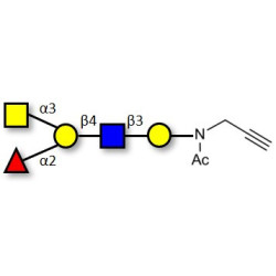 Blood group A antigen pentaose type 2 with terminal alkyne (Linker-CΞCH A)