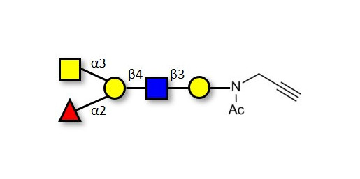 Blood group A antigen pentaose type 2 with terminal alkyne (Linker-CΞCH A)