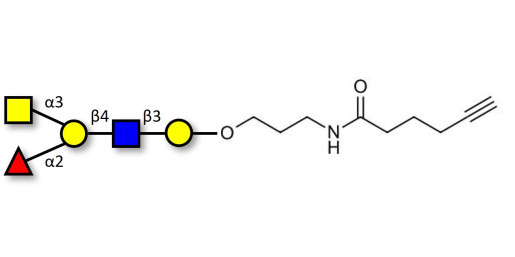Blood group A antigen pentaose type 2 with terminal alkyne (Linker-CΞCH C)