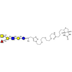 Blood group A antigen hexaose type 1 linked to biotin (Linker-BT A)