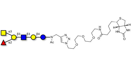 Blood group A antigen hexaose type 1 linked to biotin (Linker-BT A) - GLY037-1-NAc-sp3-Bt