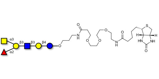 Blood group A antigen hexaose type 1 linked to biotin (Linker-BT C)