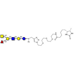 Blood group A antigen hexaose type 1 linked to desthiobiotin (Linker-DBT-A)