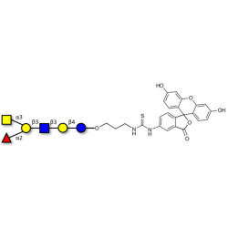 Blood group A antigen hexaose type 1 linked to fluorescein (Linker-FLUO A)
