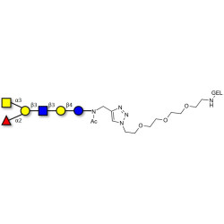 Blood group A antigen hexaose type 1 grafted on gel for affinity chromatography (Linker-GEL A)