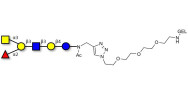 Blood group A antigen...