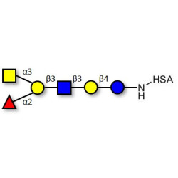 Blood group A antigen hexaose type 1 grafted on HSA