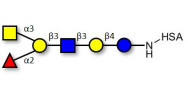 Blood group A antigen...