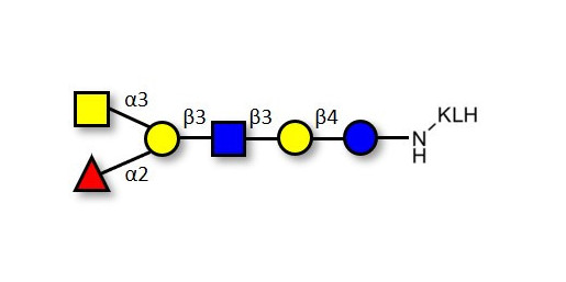 Blood group A antigen hexaose type 1 grafted on KLH